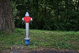 Bernhard Saalfeld - DSC08542 -1